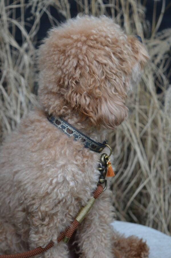 Halsband Guus - Afbeelding 2