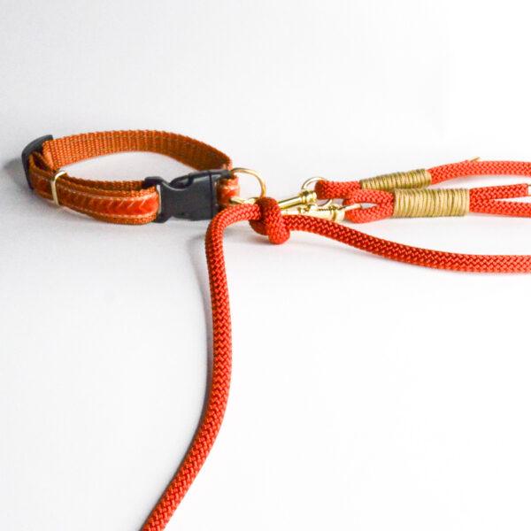 Puppyhalsbandje Orange bliss - Afbeelding 2