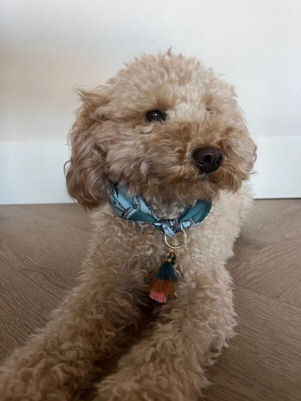 Bandana sjaal green-light blue-light brown - Afbeelding 3